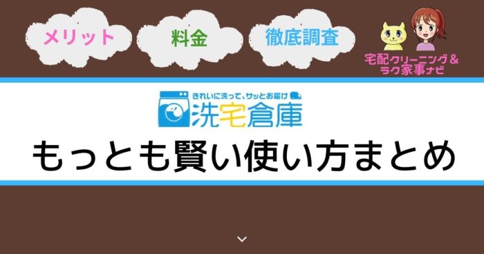 宅配クリーニング洗宅倉庫の調査と解説