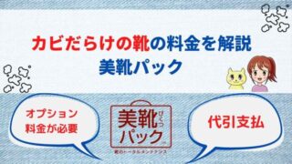 美靴パックでカビだらけの靴を丸洗いしてもらう料金を解説