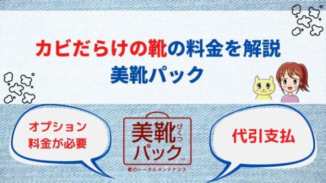 美靴パックでカビだらけの靴を丸洗いしてもらう料金を解説