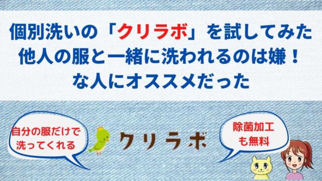 個別洗いのクリラボの体験談